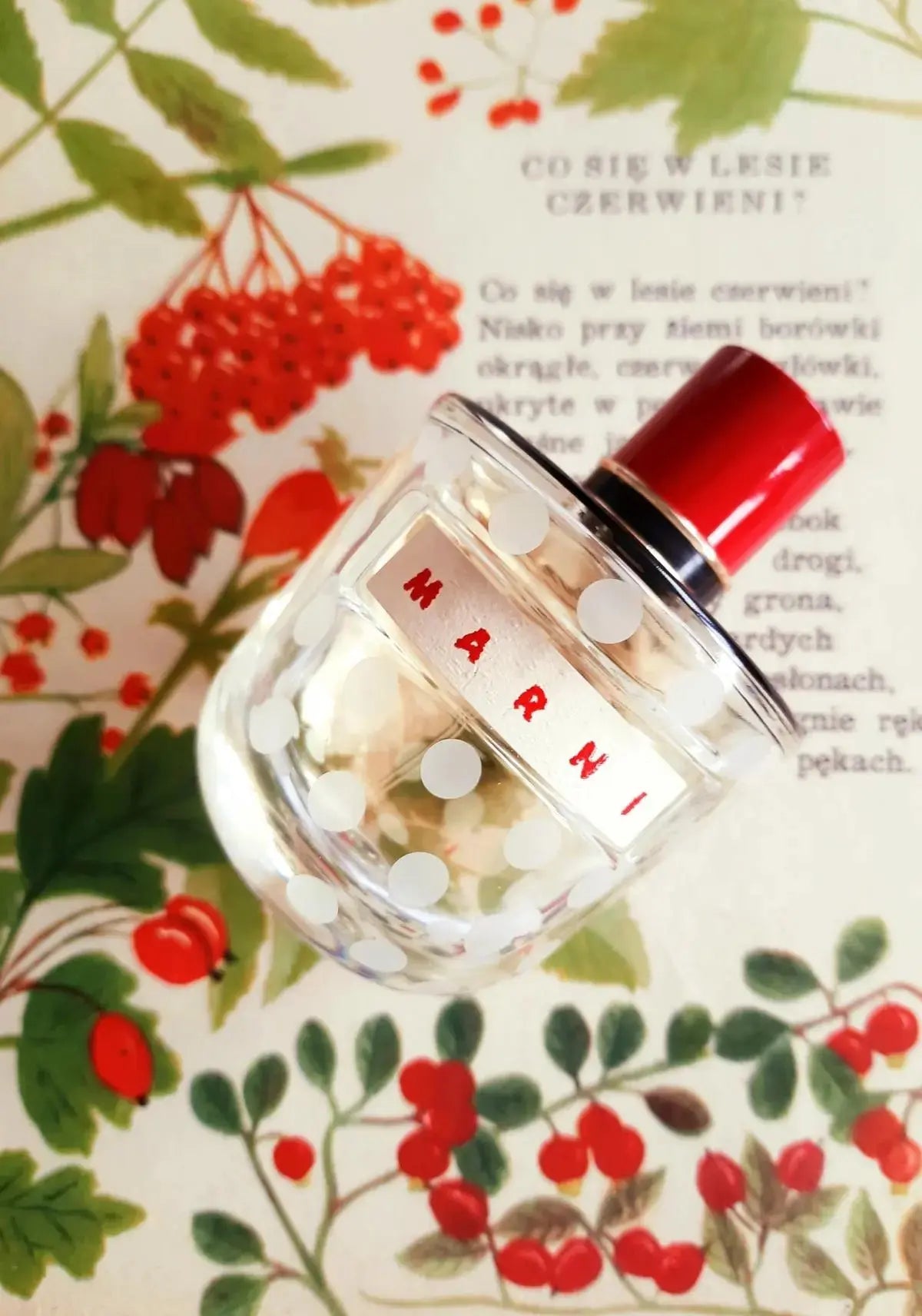 Marni Perfume for Women Eau De Parfum Spray 4.1 oz 120 ml Original Scent Discount Store